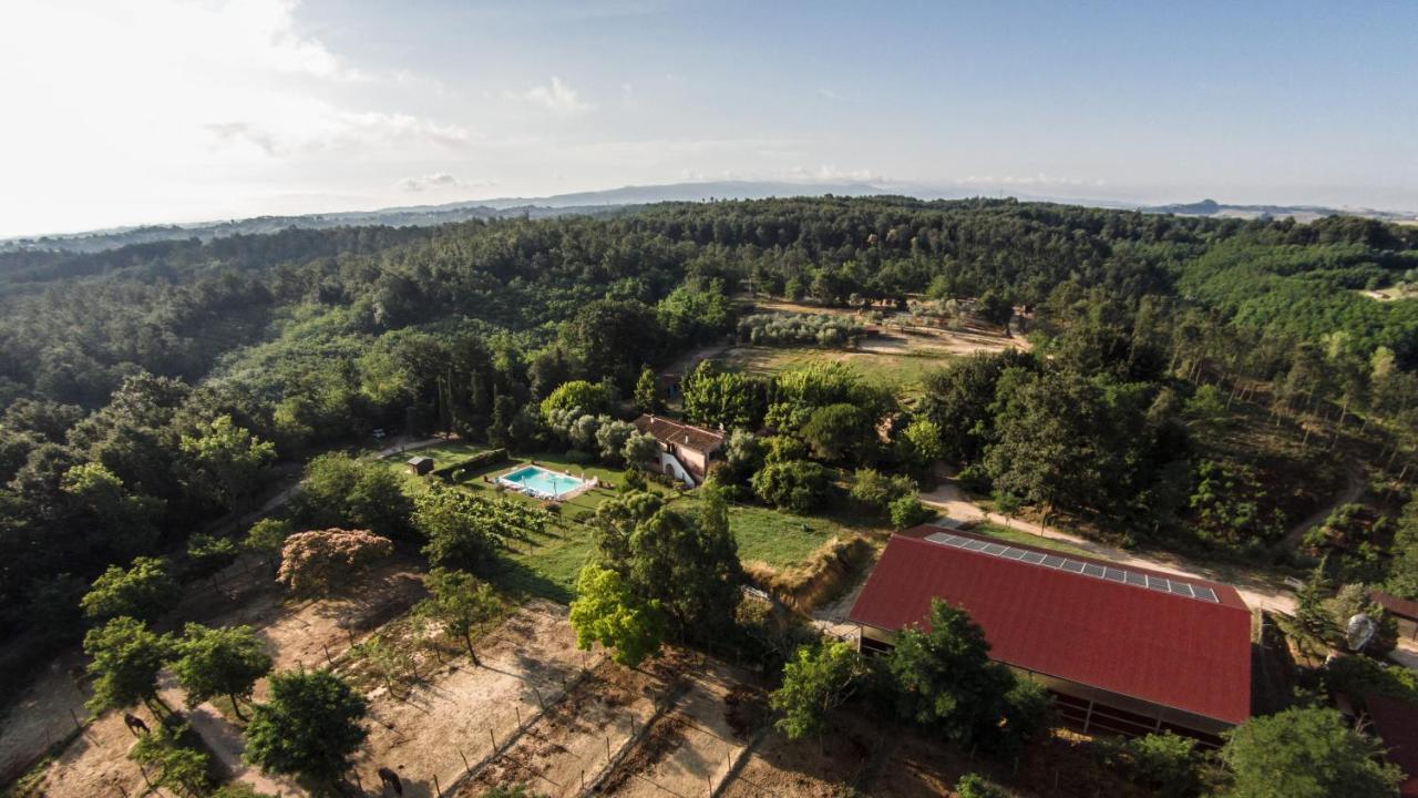 Fioralice ξενώνας Fauglia Εξωτερικό φωτογραφία